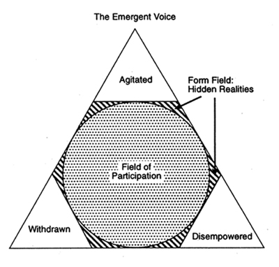 Figure 1. The Emergent Voice