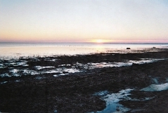 Landscape by the St Lawrence River