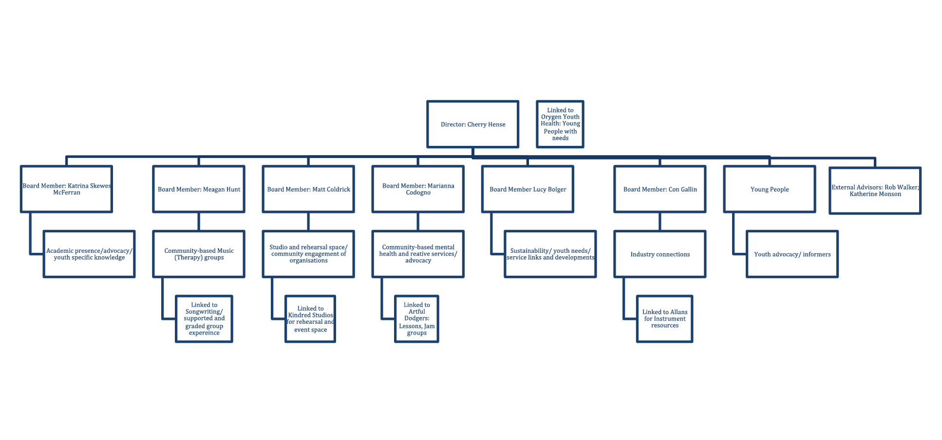 Figure 2. Structure of the Youth Music Action Group.