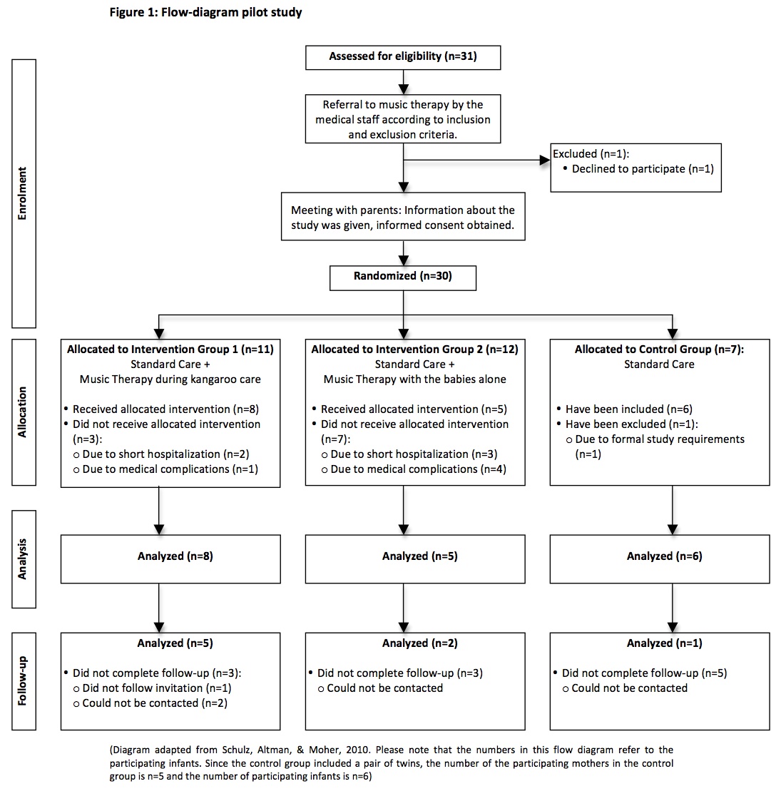 Flow diagram for the pilot study