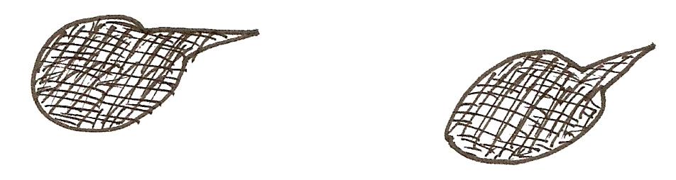 Figure 2. Sound bubbles