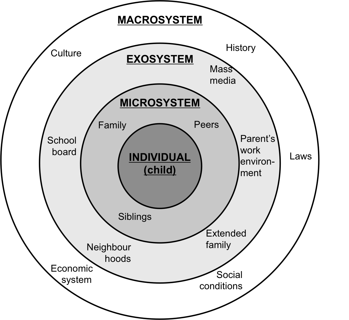 Bronfenbrenner’s ecological model, showing all levels of the social world that affect the daily functioning of an individual